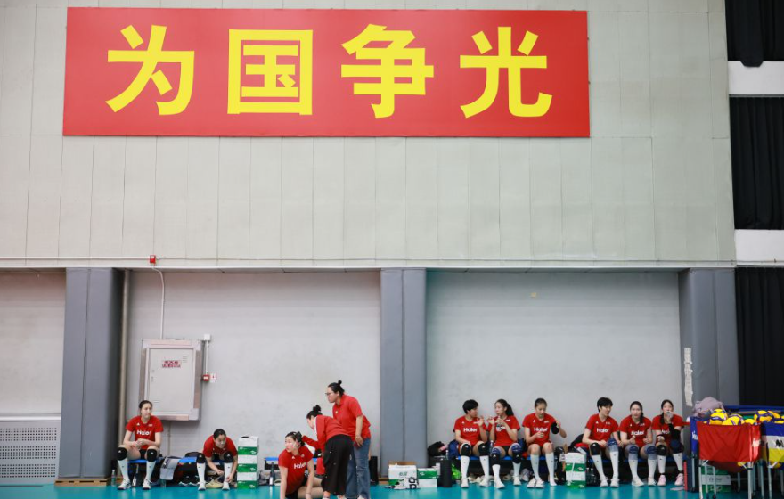 乐鱼体育APP用户评价与反馈分析